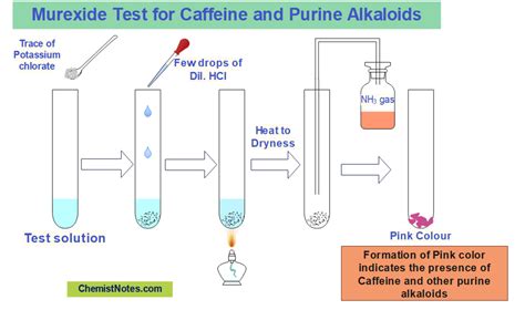 [PDF] Murexide Test in Paper Chromatography .